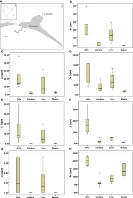 Comparative evaluation of heavy metal concentration in different organs of the asian seabass: A multivariate approach